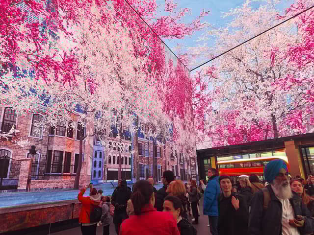 Cherry blossom in the National Trust's Nature’s Confetti immersive experience at Outernet in London.