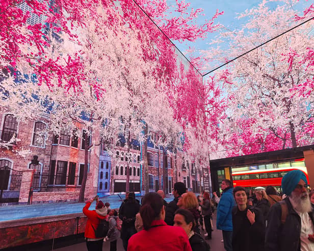 Cherry blossom in the National Trust's Nature’s Confetti immersive experience at Outernet in London.