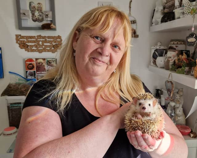 Annette Blagden in her African Pygmy sanctuary.