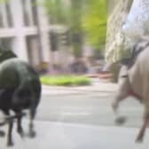 Horses running through London.