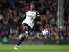 Marco Silva has already told Newcastle United what to expect from Fulham star Tosin Adarabioyo