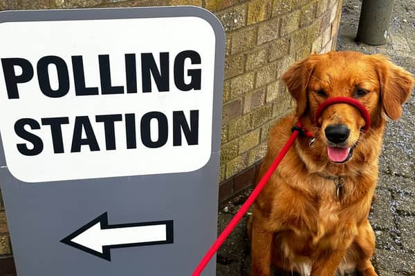 Ruby Wags accompanies her owner to the polls