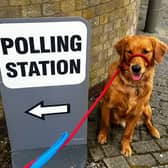 Ruby Wags accompanies her owner to the polls