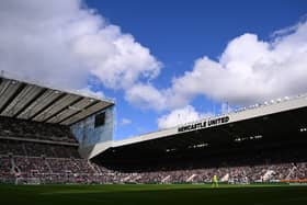 Isaac Hayden has returned to Newcastle United.