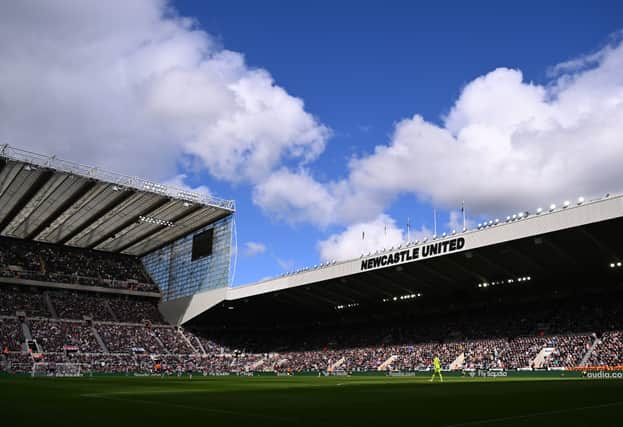 Isaac Hayden has returned to Newcastle United.