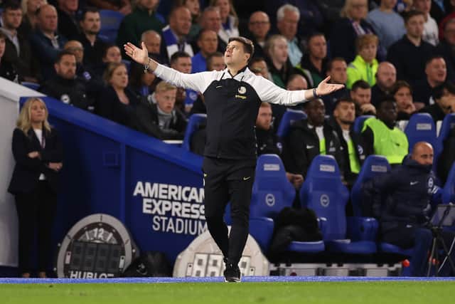 Gallagher saw plenty of game time under Mauricio Pochettino.