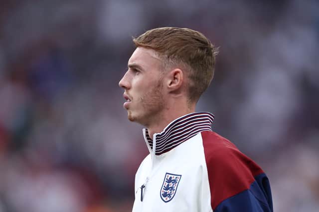 Gallas wants to see Palmer given a chance at Euro 2024.