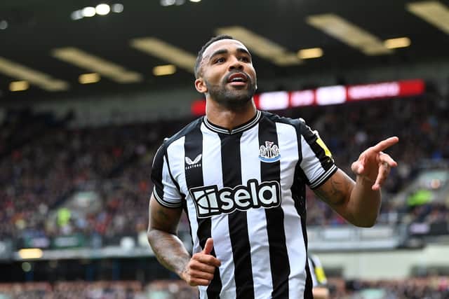 Callum Wilson is a proven Premier League goalscorer.