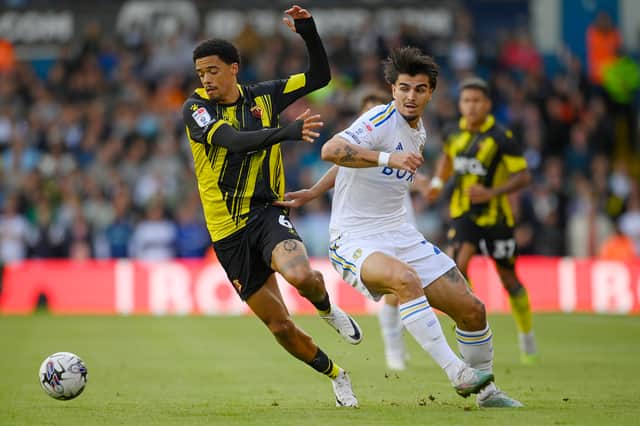 Jamal Lewis was on loan at Watford last season.