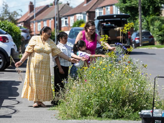 Grace Hills, 36, transformed her street from a 'neglected patch of urban land' into a colourful wildflowers. 