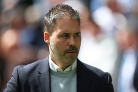 QPR head coach Marti Cifuentes.