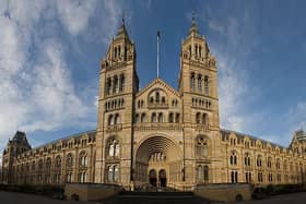 The Natural History Museum is one of London's biggest attractions and it's totally free! 