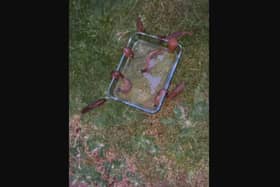Creepy garden hack: Watch as horde of slugs drown in BEER