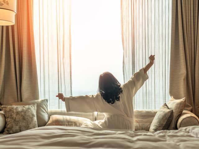 A chicken and a pet lizard make up some of the weirdest things left in hotel rooms around the world