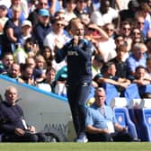 Chelsea boss Enzo Maresca.