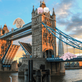 Where to buy Jellycats in London
