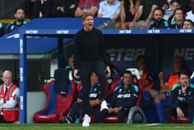 Crystal Palace boss Oliver Glasner.