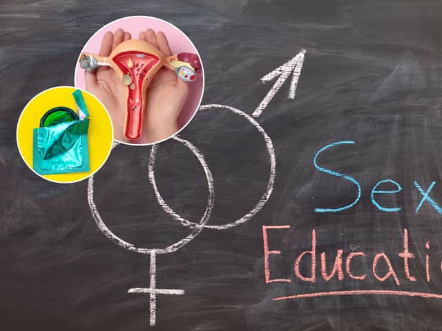 The RSE curriculum covers a wide range of topics (Image: National World/Adobe Stock)