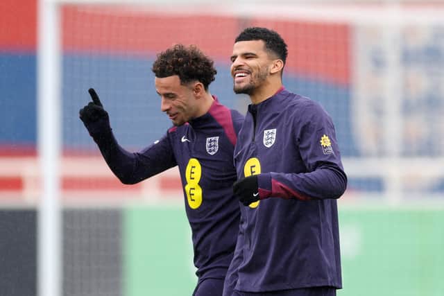 Dominic Solanke was with England during the international break.