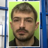 Arnold Elezi jailed for growing cannabis