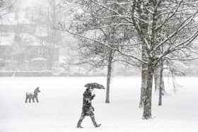 A member of the public walks through the snow in Victoria Park in Glasgow in February 2021 (Photo: ANDY BUCHANAN/AFP via Getty Images)
