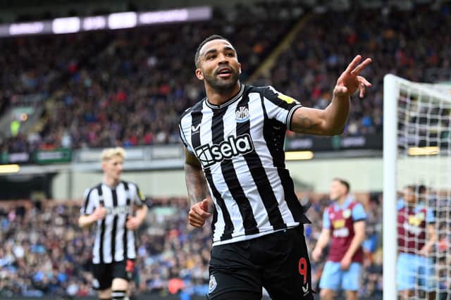 Callum Wilson could make his Newcastle United return soon.