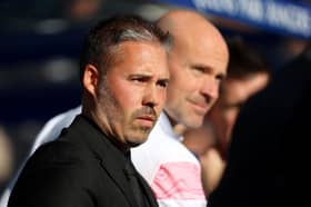 Marti Cifuentes during his side's 2-1 defeat to Pompey at Loftus Road