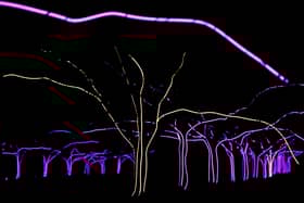 Kew Gardens will be illuminated for Halloween. 