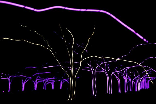 Kew Gardens will be illuminated for Halloween.