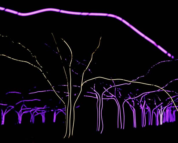Kew Gardens will be illuminated for Halloween. 