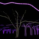 Kew Gardens will be illuminated for Halloween. 