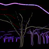 Kew Gardens will be illuminated for Halloween. 