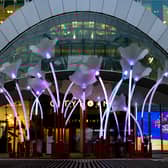 The majestic trumpet flowers outside Citypoint