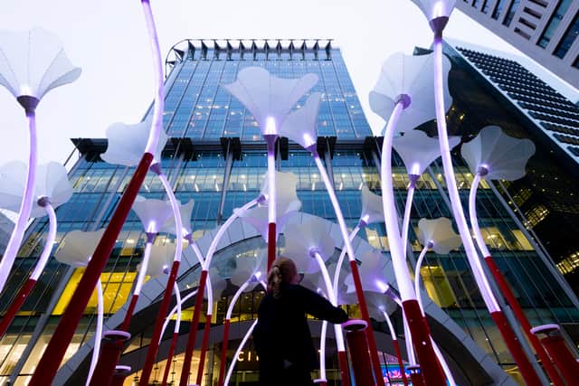 The giant 'trumpet flowers' remind me of Alice in Wonderland!