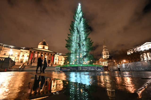 The illuminated Christmas tree is reflected in puddles in Trafalgar Square in central London