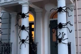 Spooktacular scenes in Kensington 