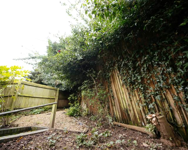 Betty Calloway (90) from Stirchley, has issues with an overgrown council hedge that has turned her dream move into a nightmare.