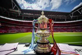 A detailed view of the Emirates FA Cup trophy