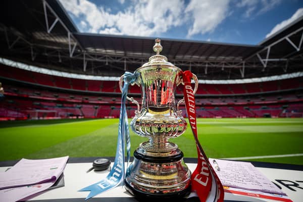 A detailed view of the Emirates FA Cup trophy