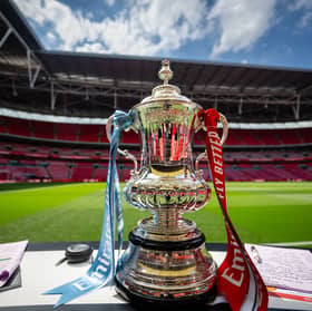 A detailed view of the Emirates FA Cup trophy