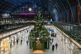 The 11 metre tall Christmas tree, inspired by the film Wicked, spans two floors in St Pancras