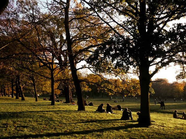 Autumn in Greenwich Park 