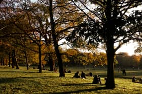 Autumn in Greenwich Park 