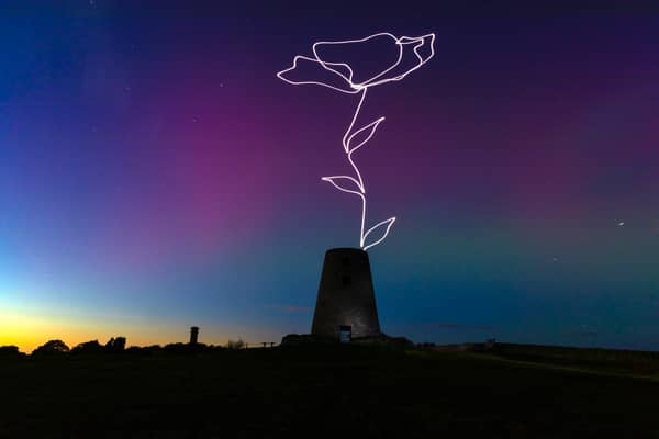 Claire Eason's giant light poppy.