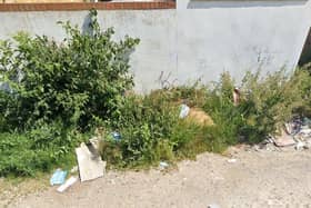 Cllr Fosten said fly-tipping was a frequent issue on Parkside Road
