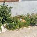 Cllr Fosten said fly-tipping was a frequent issue on Parkside Road