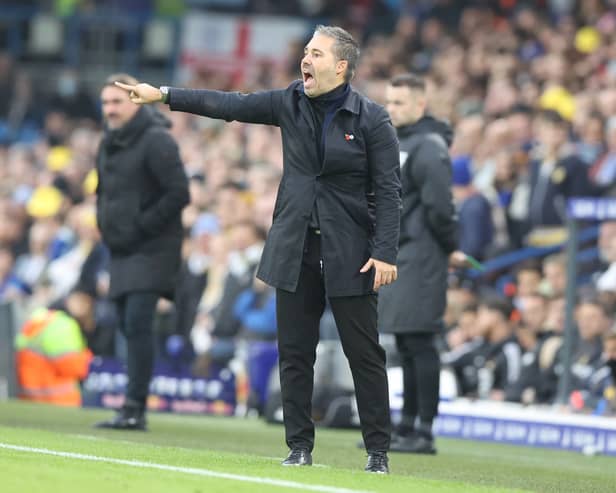 QPR head coach Marti Cifuentes.