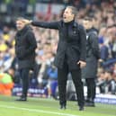 QPR head coach Marti Cifuentes.