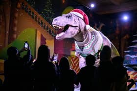 The T-Rex at the Natural History Museum has donned his Christmas best! 