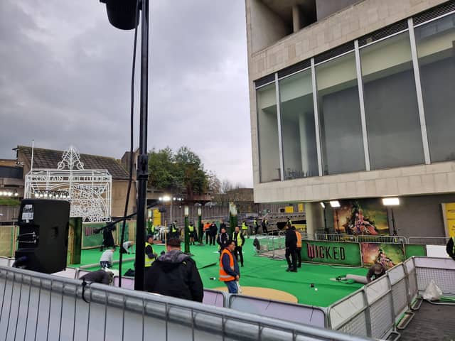 A look at the green carpet! 